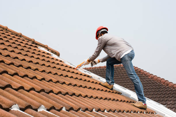Best Roof Restoration  in Camdenton, MO
