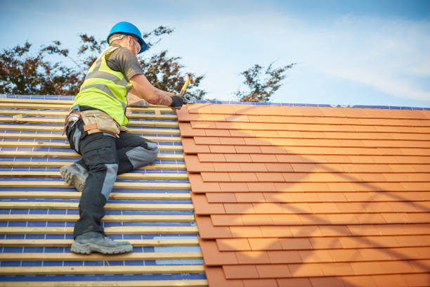 Best Cold Roofs  in Camdenton, MO